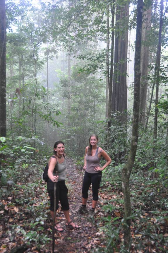 Atravessando a densa floresta da Reserva Natural de Brownsberg, no Suriname